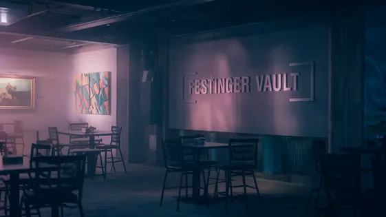 Festinger Vault Multisite Users